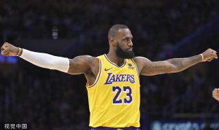 适配搜索引 适配搜索引